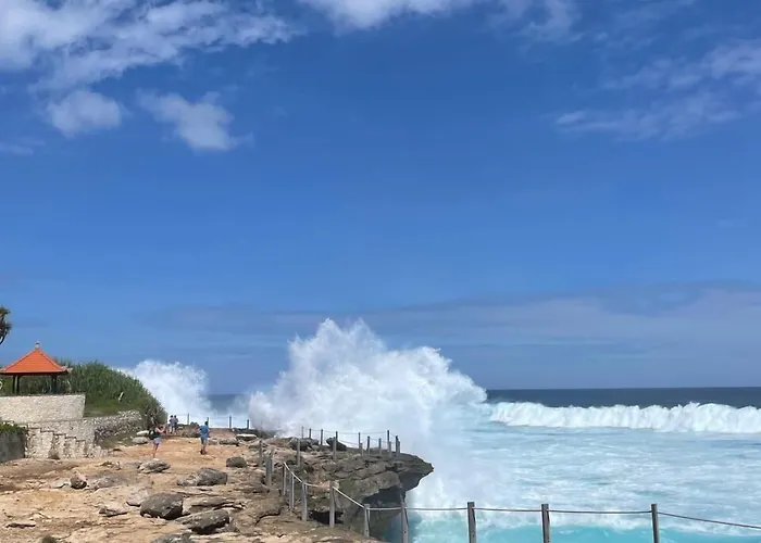 Gecko &